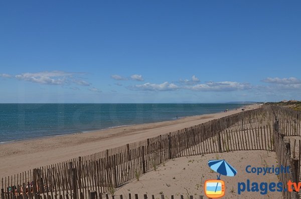 Environnement de la plage de la Dune à Vias