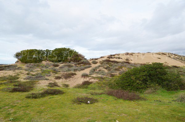 Plage des Dunes à Anglet