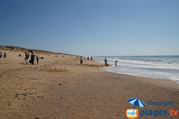 Plage sauvage à Brétignolles sur Mer