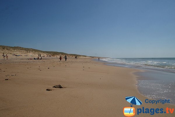 Plage de sable fin à Brétignolles sur Mer - Les Dunes