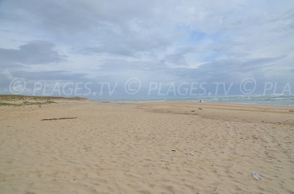 Dunes du Cap Ferret à proximité de la pointe et du Sémaphore