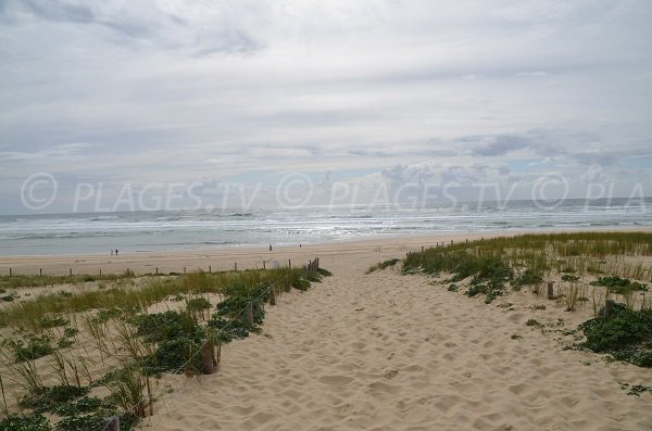 sentiero della spiaggia delle dunes - Cap Ferret