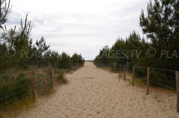 L'accesso della spiaggia delle Dune di Cap Ferret