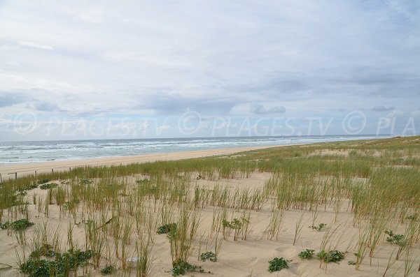 Foto della spiaggia delle Dunes - Cap Ferret - Francia