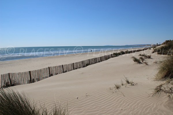 Dunes de Carnon avec vue sur la plage et la mer