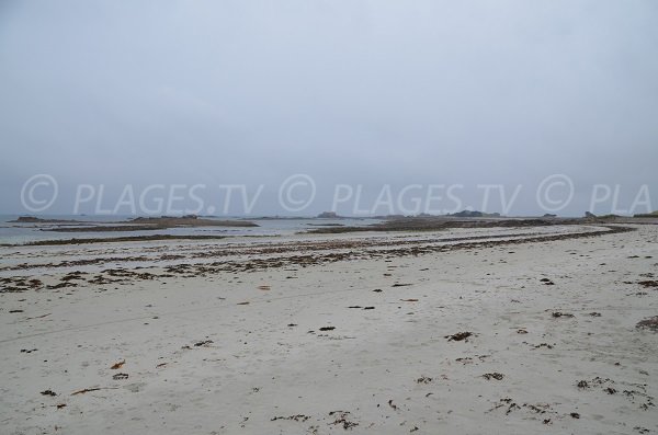 Plage à Penvénan - Les dunes