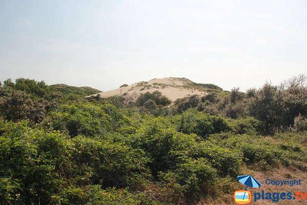 Dunes of Slack - France