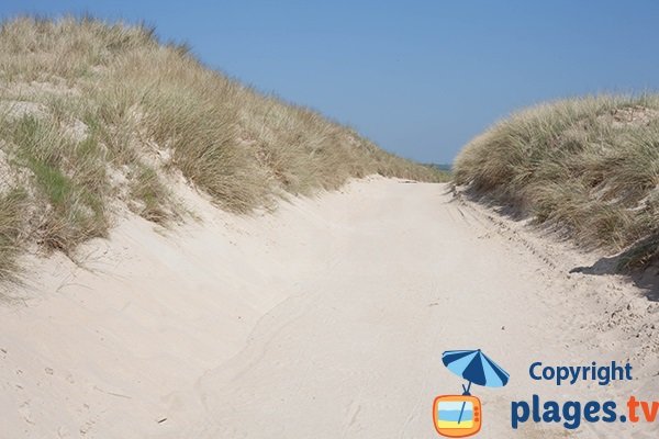 Sentier sur la dune de St Georges de la Rivière