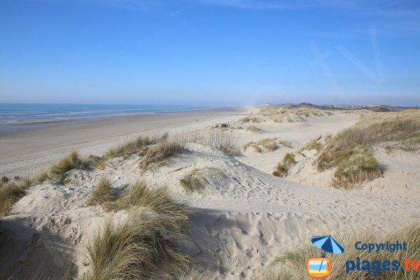 Photo de la plage des dunes de Stella Merlimont