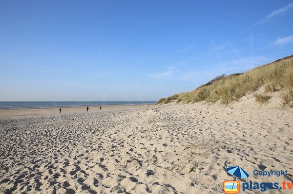 Plage bordée par les dunes d'Ecault