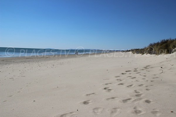 Vue de la plage des Echirolles en direction du Grand Tarvers et de Carnon