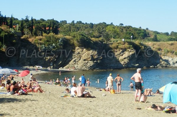 Plage de sable à Banyuls sur Mer