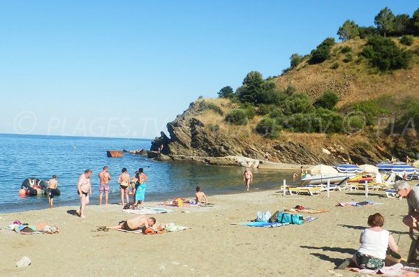 Privatstrand am Strand Elmes in Banyuls sur Mer