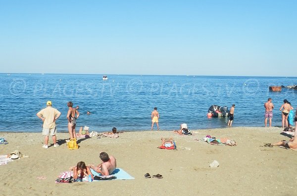 Plage des Elmes en été à Banyuls