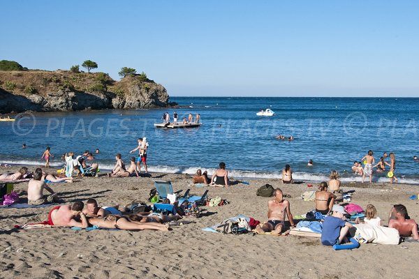 Foto della spiaggia Les Elmes - Côte Vermeille