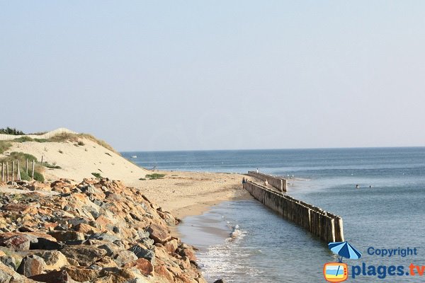 Crique au niveau du bois des Eloux à Noirmoutier