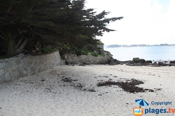 Plage à côté du port de l'ile de Batz