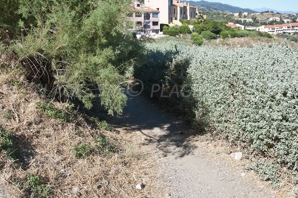 sentiero per la spiaggia En Baux di Port Vendres 