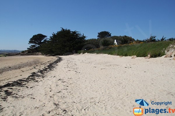 Photo de la plage de l'entrée de l'ile de Callot