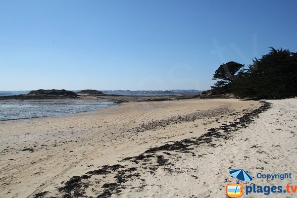 Vue sur l'ile aux Moutons depuis l'ile de Callot