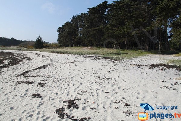 Fist beach of Perharidi - Roscoff