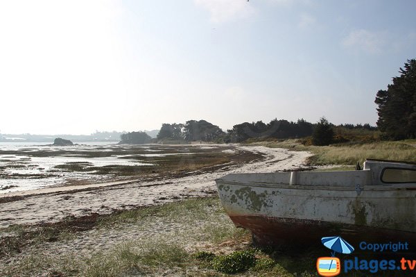 Plage sauvage à Roscoff - Perharidi