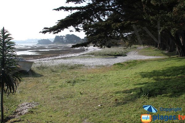 Lawn on the beach of the peninsula of Perharidi