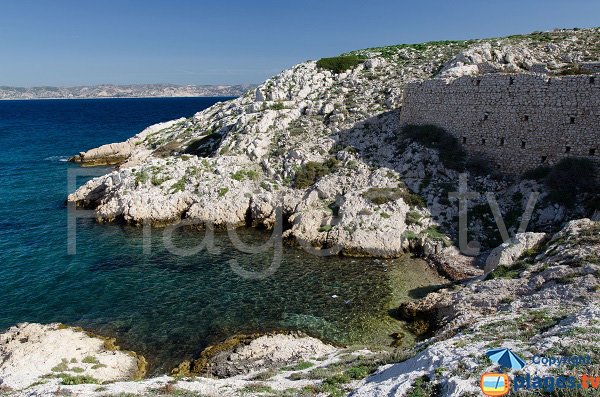 Cove of Eoube with posidonia - Frioul