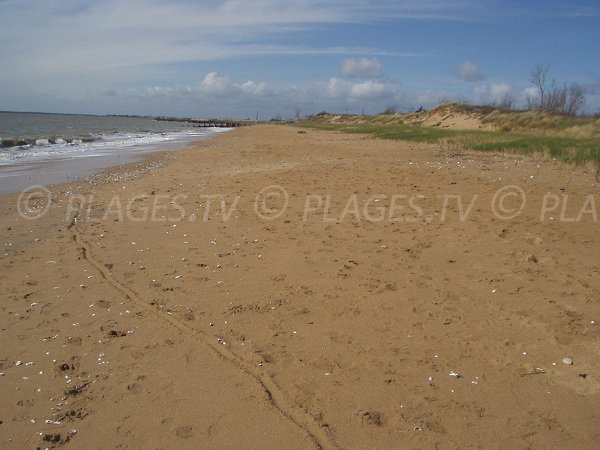 Plage de l'Eperon à Aguillon sur Mer