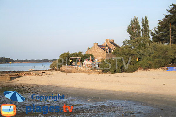 Plage à Locmariquer côté golfe du Morbihan