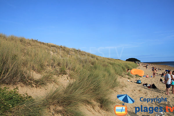 Plage naturelle d'Er Long de sable ocre 