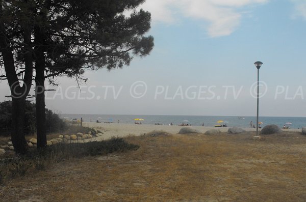 Erba Rossa beach in Ghisonaccia in Corsica