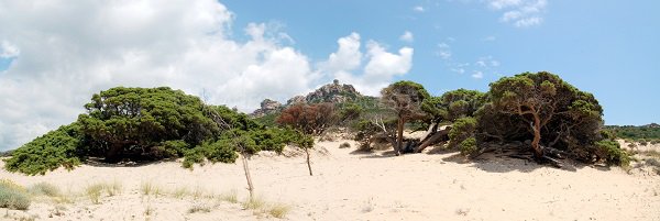 Tower of Roccapina from Erbaju beach - Sartène