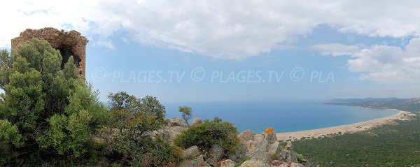 Erbaju beach with the Roccapina tower - Corsica