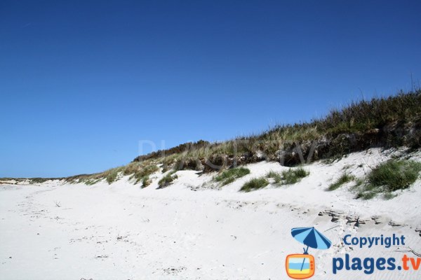 Dunes de la plage d'Erleac'h à Saint Pabu dans le Finistère Nord