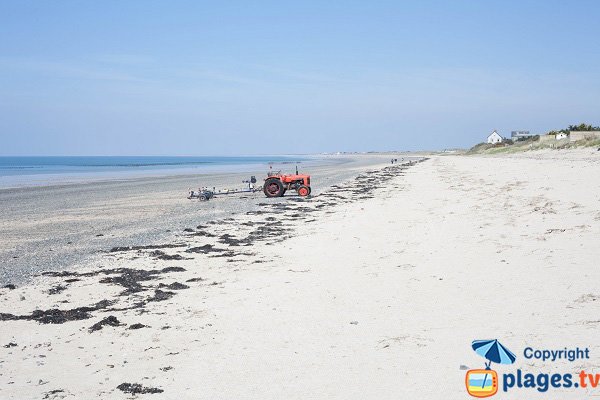 Plage de l'Ermitage à Donville