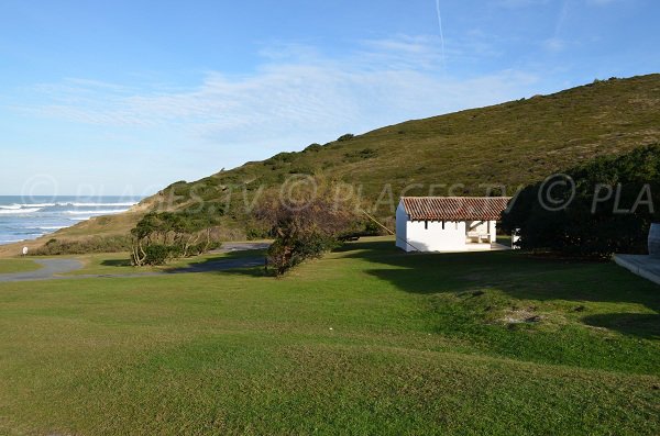 Environnement verdoyant de la plage d'Erretegia de Bidart