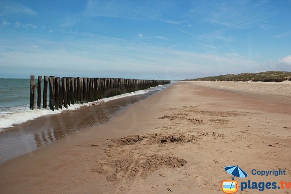 Pieux dans la mer sur la plage des Escardines