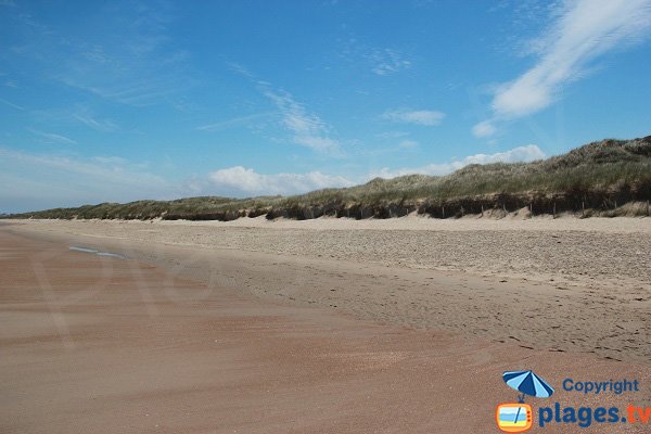 Dunes du Platier d'Oye