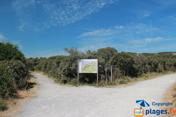 Sentier dans la réserve du Platier d'Oye