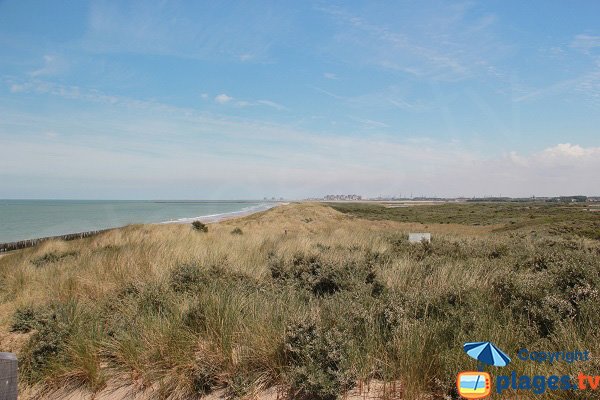 Photo de la plage des Escardines d'Oye-Plage