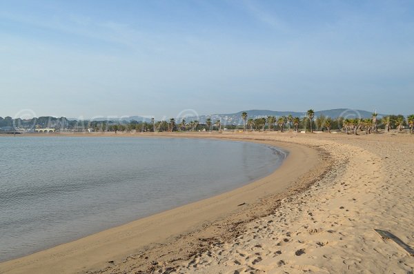 Vue sur Saint-Aygulf et les palmiers de cette plage