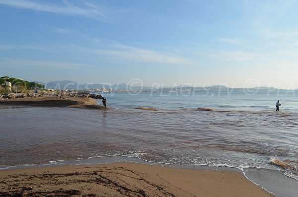 Limite de la plage des Esclamandes avec la rivière de l'Argens