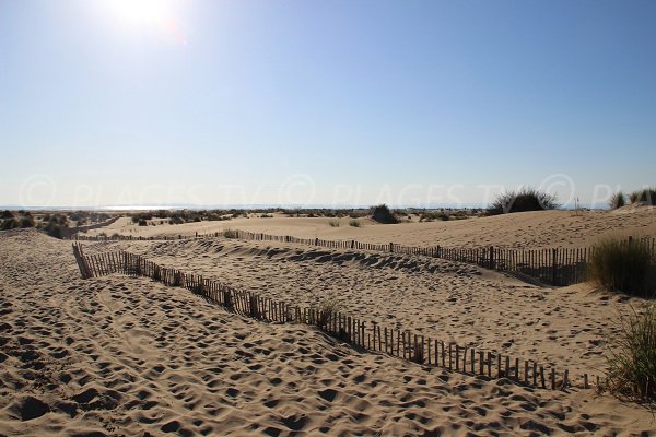 Dunes on the Espiguette beach in Port Camargue