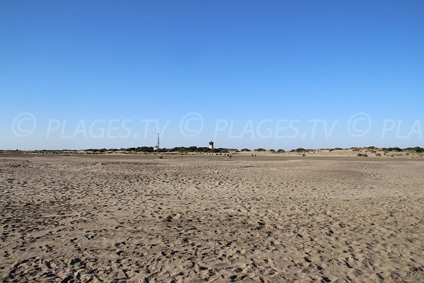 Plage de l'Espiguette à proximité du phare - Grau du Roi