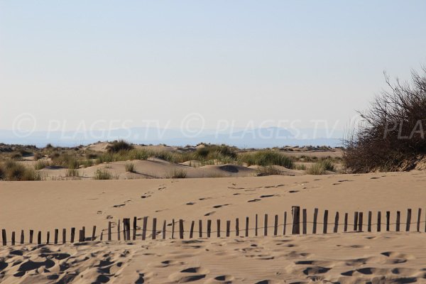 Dunes d'Espiguette au Grau du Roi