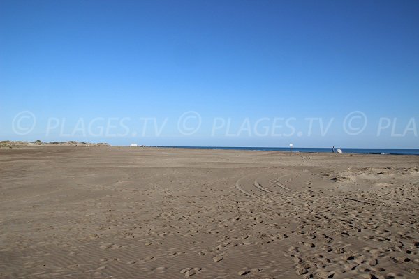 Wild beach in Port Camargue in France