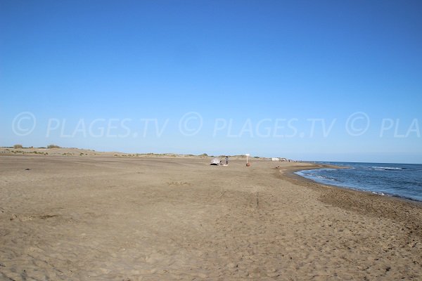 Spiaggia Espiguette di Grau du Roi - Francia