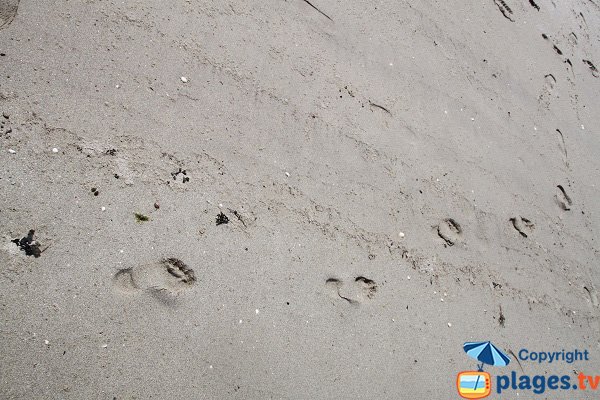 Sable sur l'ile d'Aganton