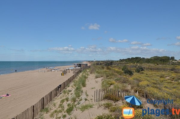 Photo de la plage Est de Portiragnes